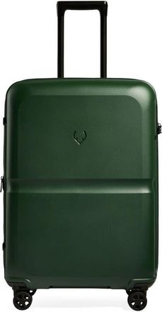 Antler Single Stripe Medium in Green at Nordstrom