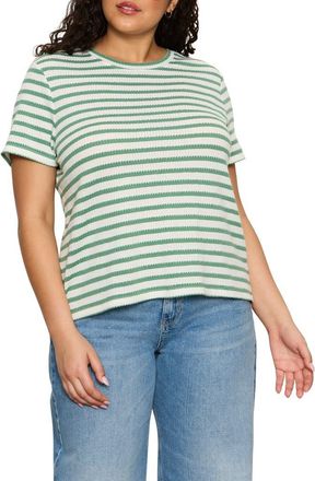 Sanctuary Perfect Stripe Relaxed Fit T-Shirt in Green Juice/Chalk at Nordstrom, Size 3 X