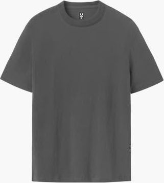 ASRV Supima Essential Tee in Space Grey at Nordstrom, Size Xx-Large