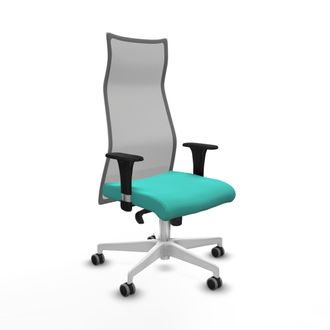 Piqueras y Crespo Silla De Oficina Albacete Piqueras Y Crespo B1c026g Turquesa