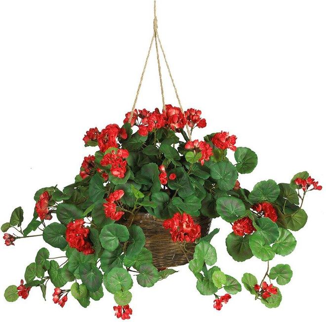 Geranium Hanging Basket Silk Plant
