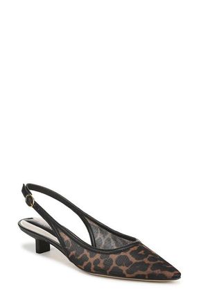Franco Sarto Pura Slingback Pointed Toe Kitten Heel Pump in Tan at Nordstrom, Size 6.5