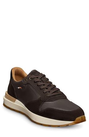 Allen Edmonds Lionel Lace-Up Sneaker in Dark Brown at Nordstrom, Size 11.5