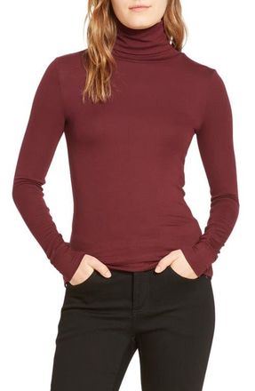 Universal Standard Foundation Turtleneck in Black Cherry Red at Nordstrom, Size Xl