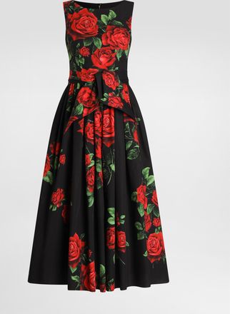 Dolce & Gabbana Rose-print Poplin Dress - Woman Dresses Multicolor 38