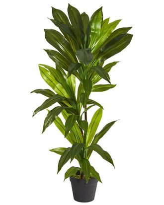 Nearly Natural 3Ft Dracaena Artificial Plant (Real Touch)