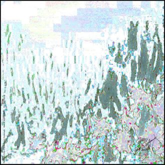 Rosemary Goodenough Planting in Drifts VI Silk Pocket Square