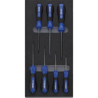 Forum M&oacute;dulo 2017 1/3 Tx Destornillador