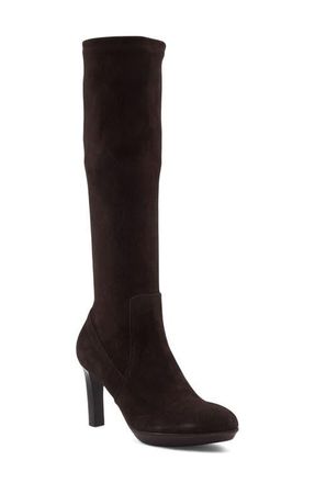 Aquatalia Rhumba Weatherproof Knee High Boot in Espresso Suede at Nordstrom, Size 5.5