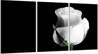 OEM Placa Protectora De Vidrio Para Estufa 3x30x52