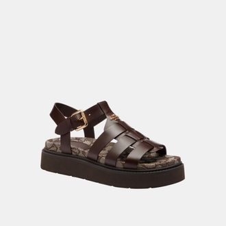 Coach Womens Lucy Lug Sole Sandal In Signature Jacquard - Dark Brown Leather - Size UK 6