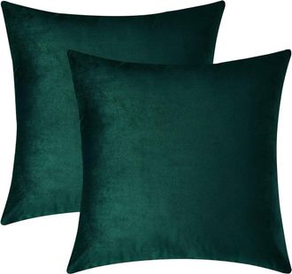 OEM Juego De Dos Fundas De Almohada De Terciopelo, Fundas De Almohada Cuadradas Decorativas, Suaves Y C&oacute;modas, Adecuadas Para Sof&aacute;s, Dormitorios Y Salas D