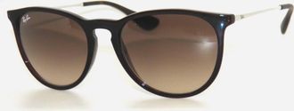 Ray-Ban Unisex Erika Sunglasses In Transparent Brown Blue