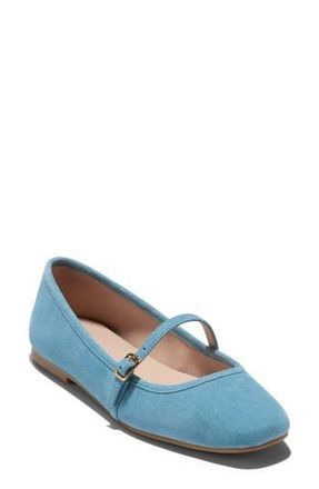 Cole Haan Yelena Mary Jane Flat in Provincial Blue Suede at Nordstrom Rack, Size 9.5