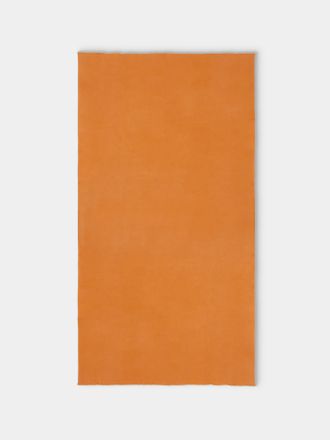 Denis Colomb Himalayan Cashmere Throw (79in/2m)