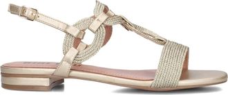 Bibi Lou Schoenen, Dames, Beige, 42 EU, Leer, Gouden platte sandalen met moderne twist