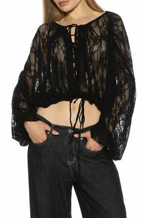 Alexia Admor Luca Sheer Lace Top in Black at Nordstrom Rack, Size X-Large