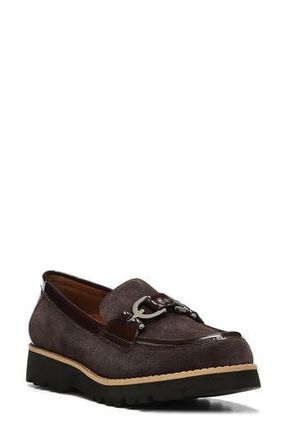 Donald J Pliner Clio Slip-on Chunky Loafer in Dark Brown at Nordstrom Rack, Size 6.5