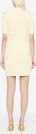 Elisabetta Franchi Dresses
