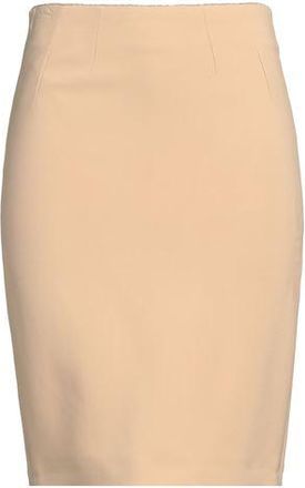 Elisabetta Franchi Mini skirts