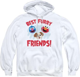 Gildan Sesame Street Furry Friends Forever Best Furry Friends Adult Pull Over Hoodie