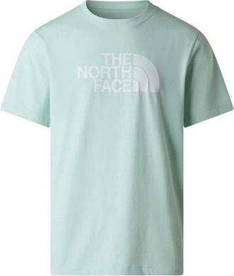The North Face Evolution Half Dome Short Sleeve T-Shirt f&uuml;r Herren | grau