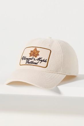 Coney Island Picnic Fall Icon Baseball Cap