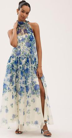 BHLDN Kendall High-Neck Scarf Floral Organza Maxi Dress