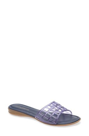 Andr&eacute; Assous Womens Nabil Jelly Sandals In Navy