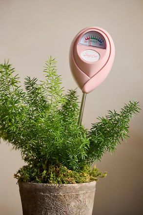 Terrain Plant Moisture Meter
