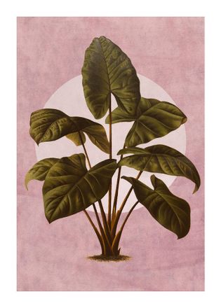 Komar Bild »Créatures Végétales« Natur 1 Stk. tlg. Wandbild zur Dekoration - ohne Rahmen