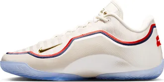 Nike Mens LeBron XXIII Old Glory Basketball Shoes in Brown | IB9562-103