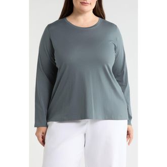 Eileen Fisher Long Sleeve Cotton Crewneck Top in Eucalyptus at Nordstrom, Size 1X