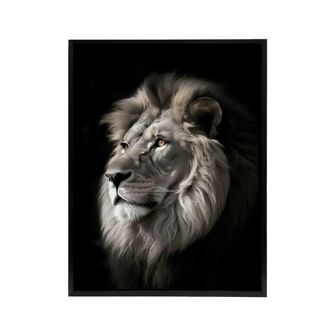 Artery8 Strong Majestic Lion Head Photo Framed Canvas Wall Art Print in Black | Size: W24 x H32