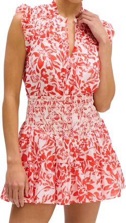 Allison New York Elena Mini Skirt In Red Floral