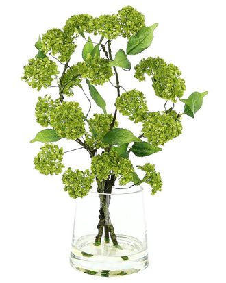 Creative Displays Inc. Green Snowball Spray Floral In Tapered Glass Vase With Acrylic Water