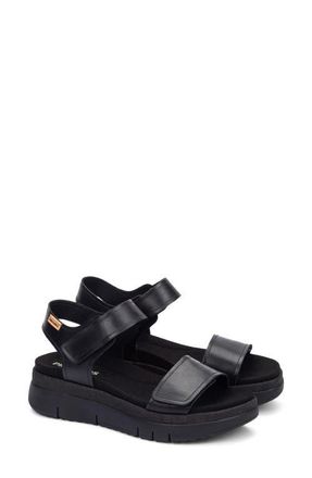 Pikolinos Palma Sandal in Black at Nordstrom, Size 10-10.5Us