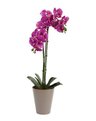 Nearly Natural 24In Speckled Phalaenopsis Orchid Artificial Arrangement