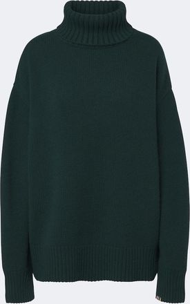 Extreme Cashmere Pullover N&deg;20 Oversize Xtra in cashmere