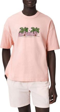 AllSaints Troppo Graphic T-Shirt in Blushed Pink at Nordstrom, Size Xx-Large