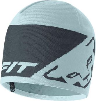 Dynafit Leopard Logo Beanie M&uuml;tze - Unisex | blau
