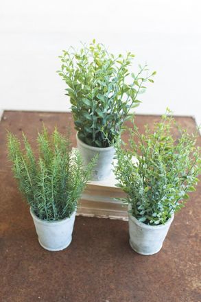 Kalalou Set Of Three Artifial Herbs In Cement Pots