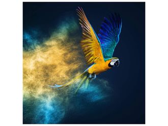Schubiger M&ouml;bel Digitaldruck auf Glas Fliegender Papagei