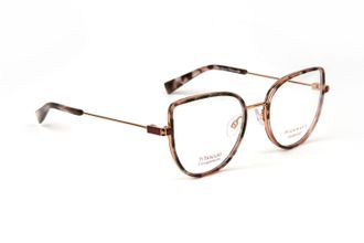 Ana Hickmann Optical Frame HI1208T G21 51 Titanium