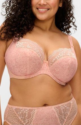 Elomi Lucie Full Figure Underwire Plunge Bra in Pale Blush at Nordstrom, Size 34Gg