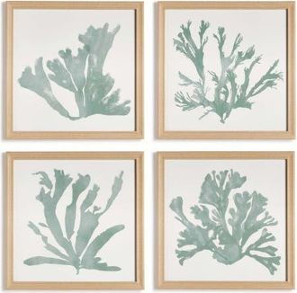 Napa Home & Garden Coral Silhouettes In Soft Green Set Of 4 in Blue at Nordstrom
