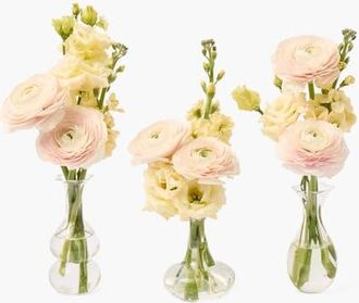 Mrs. Alice Esme Bud Vase Set in Clear at Nordstrom