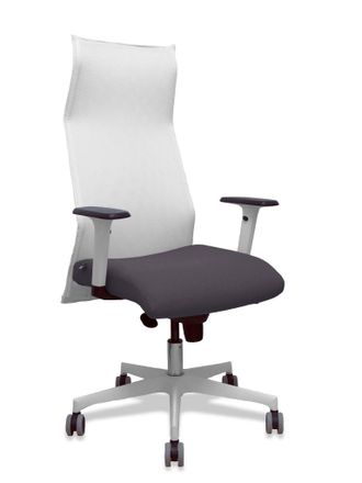Piqueras y Crespo Silla De Oficina Piqueras Y Crespo 54br65g Blanco Gris Oscuro