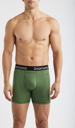 Smartwool Merino Boxer Briefs in Fern Green at Nordstrom, Size Medium