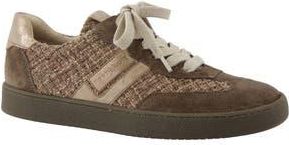 Paul Green Cruz Sneaker in Earth Soft Suede at Nordstrom Rack, Size 6.5Us /4Uk